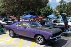 Bob Daltons  FC7 In - Violet Metallic AAR Cuda