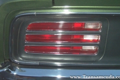 Driver Side Tail Light