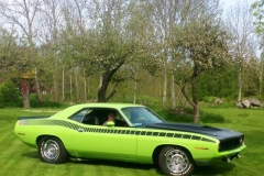 FJ5 Lime Light AAR Cuda