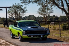 FJ5 Lime Light AAR Cuda