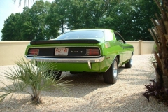 FJ6 Sassy Grass Green AAR Cuda