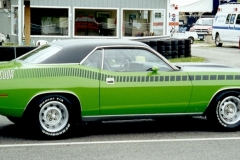 FJ6 Sassy Grass Green AAR Cuda