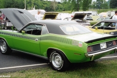 FJ6 Sassy Grass Green AAR Cuda