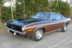 FT6 Burnt Tan Metallic AAR Cuda