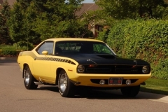 FY1 Lemon Twist AAR Cuda