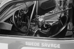 Swede Savage