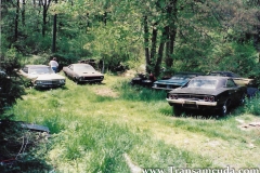 Moparswoods