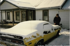 T/A's in barns