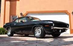 TX9 Black Velvet AAR Cuda