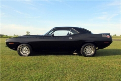 TX9 Black Velvet AAR Cuda