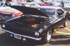 TX9 Black Velvet AAR Cuda