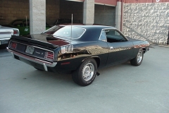 TX9 Black Velvet AAR Cuda