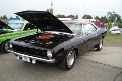 TX9 Black Velvet AAR Cuda