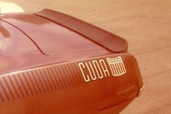 AAR Cuda Stripe