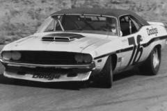 Autodynamics 76  T/A Challenger