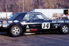 Mustang