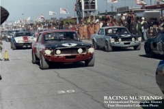 Mustang