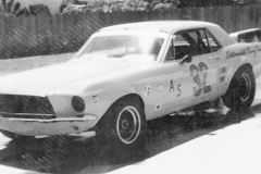 Mustang